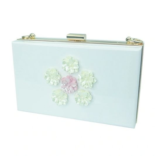 SHWS-14035 Acrylic Evening Bag
