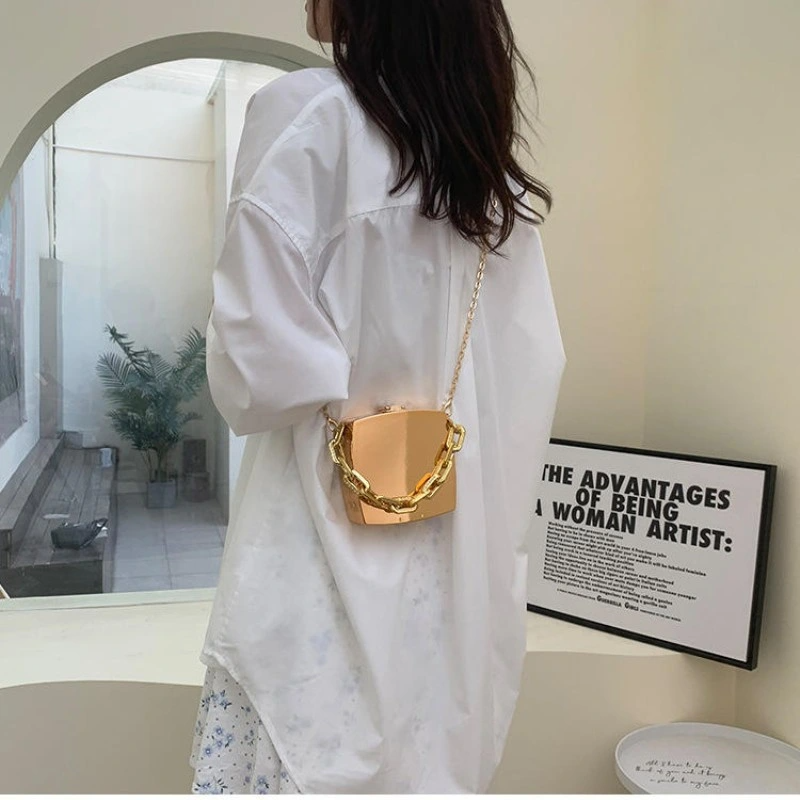 SHWS-14106 Acrylic Evening Bag