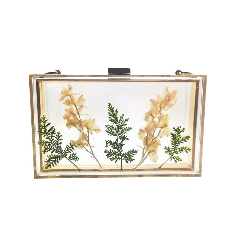 230709 Acrylic Chain Clutch Bag
