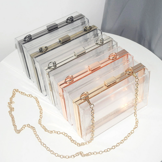 SHWS-14239 Acrylic Evening Bag